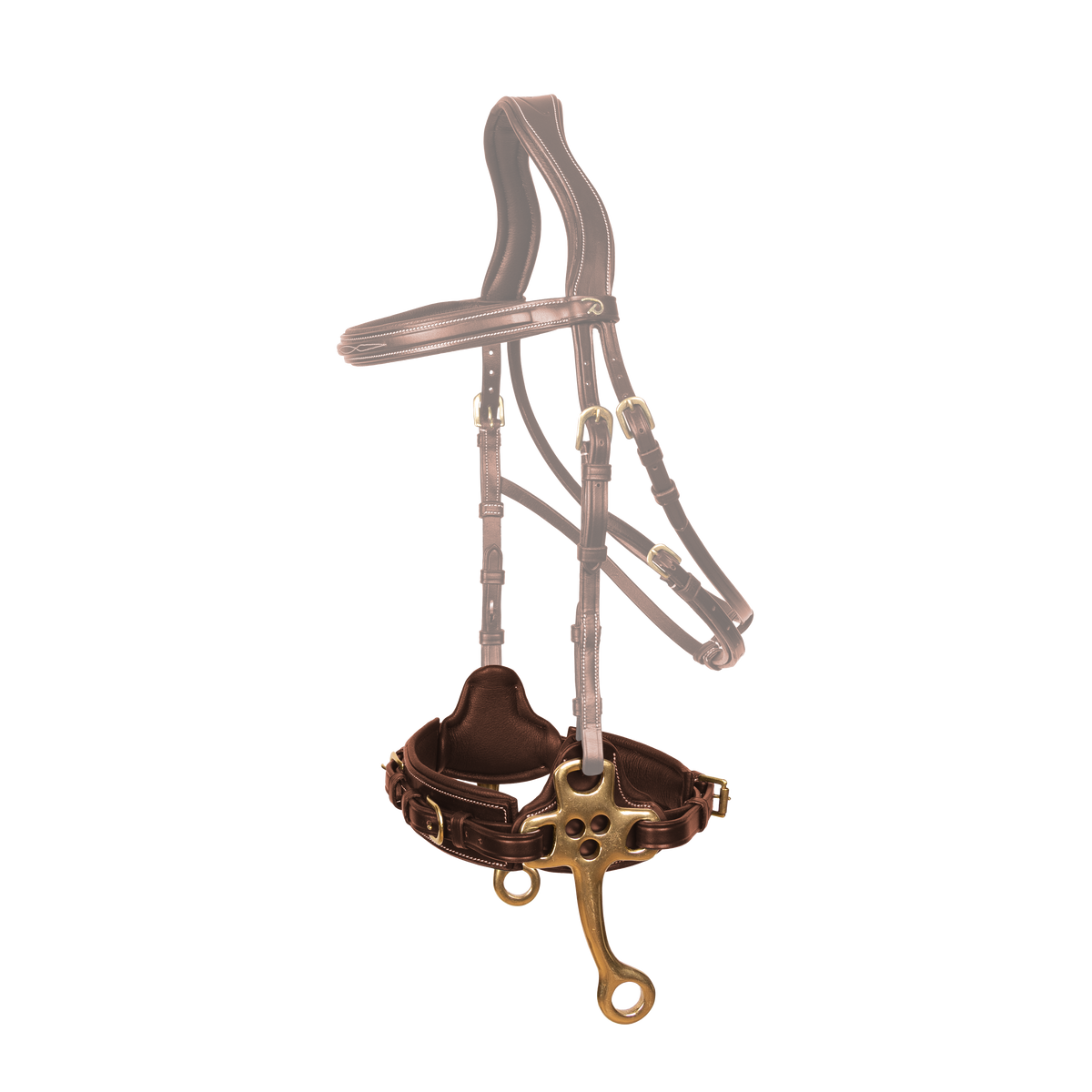 Hackamore