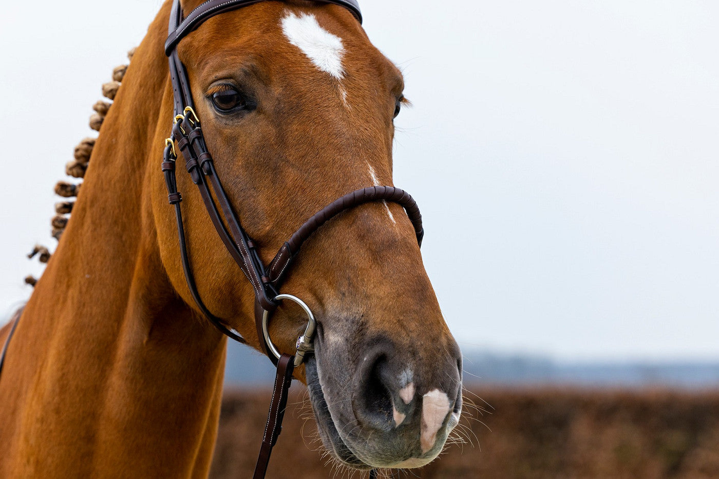 Trense Dublin mit Kordelreithalfter ummantelt