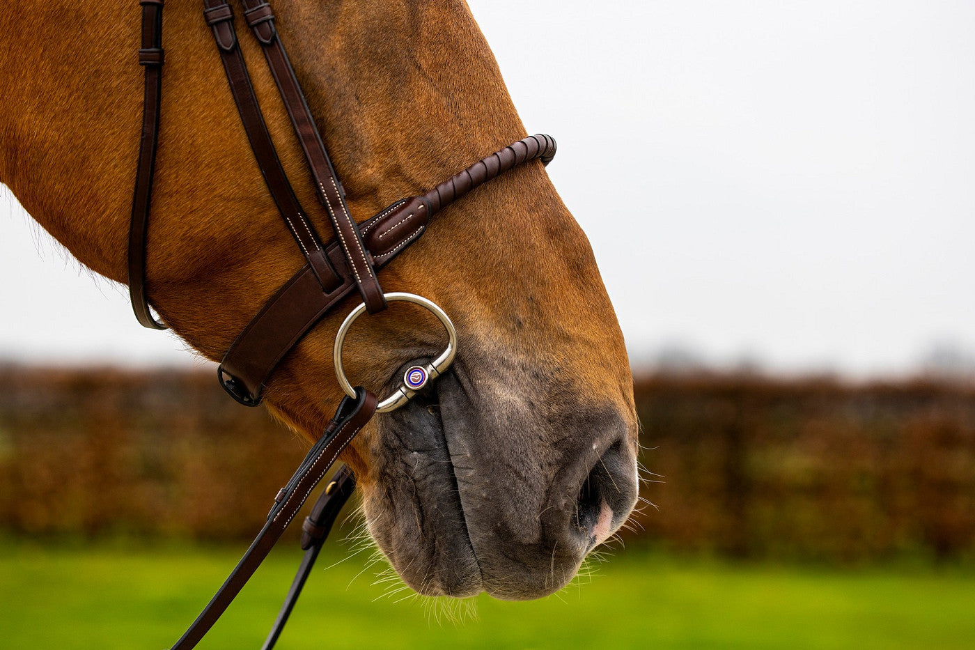 Trense Dublin mit Kordelreithalfter ummantelt