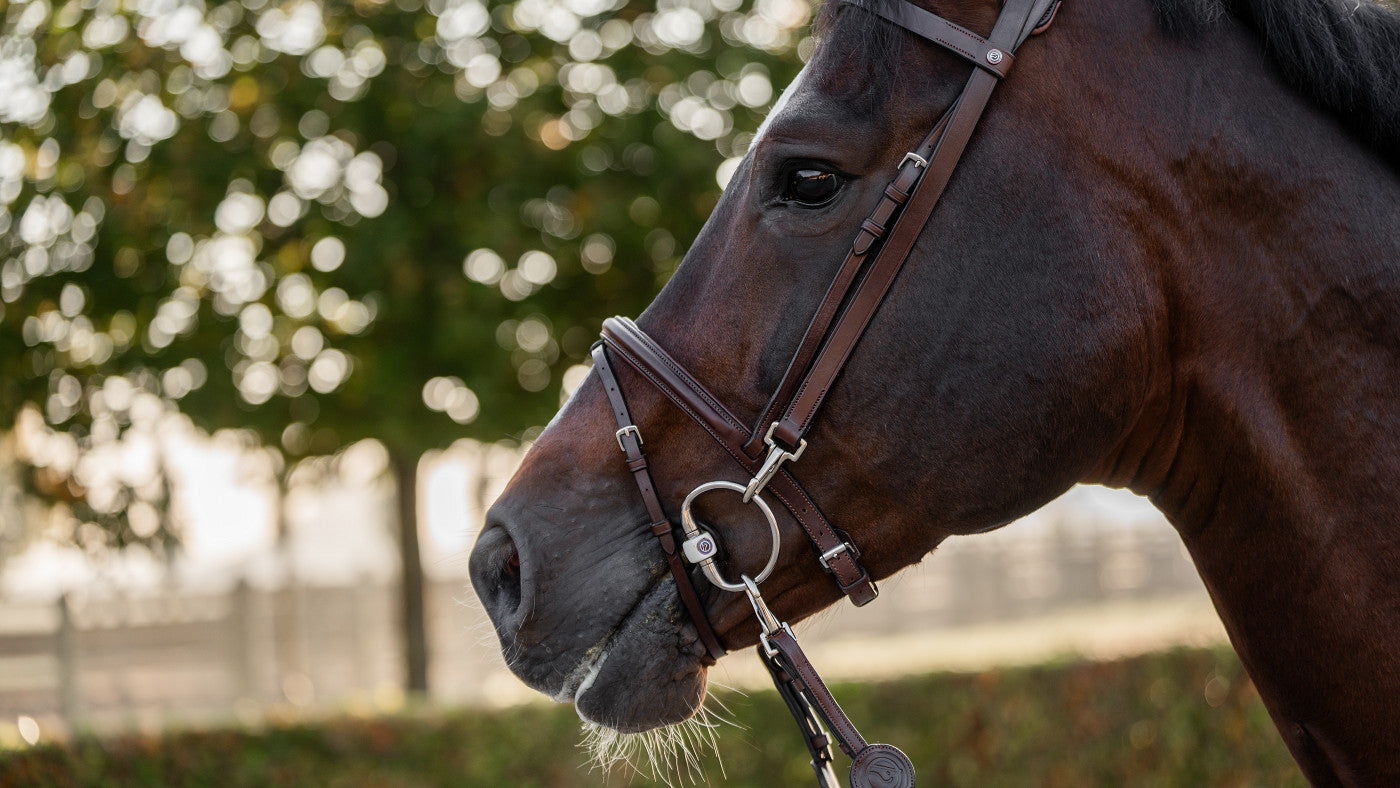 Trainings-Trense Hamburg