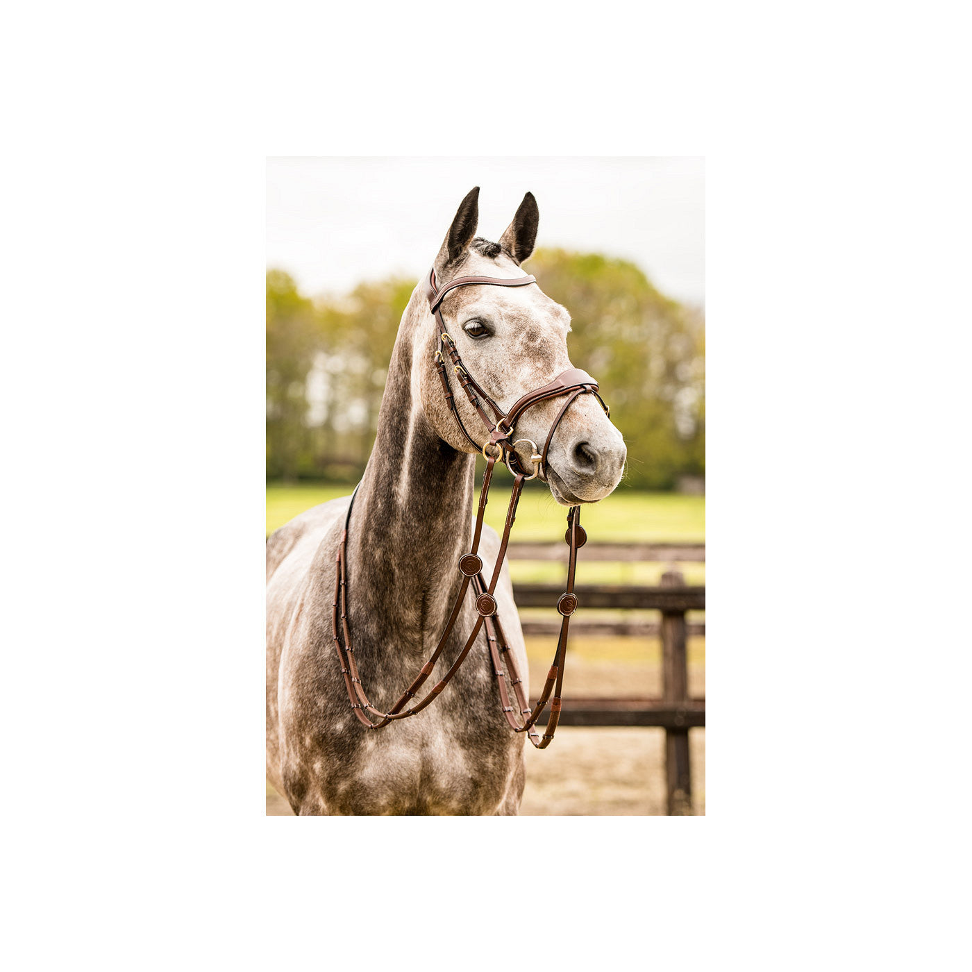 T-Motion Trense Falsterbo