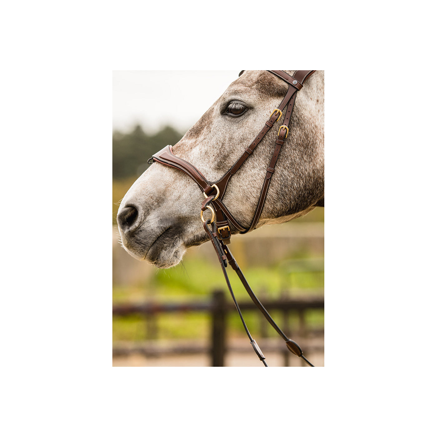 T-Motion Trense Falsterbo