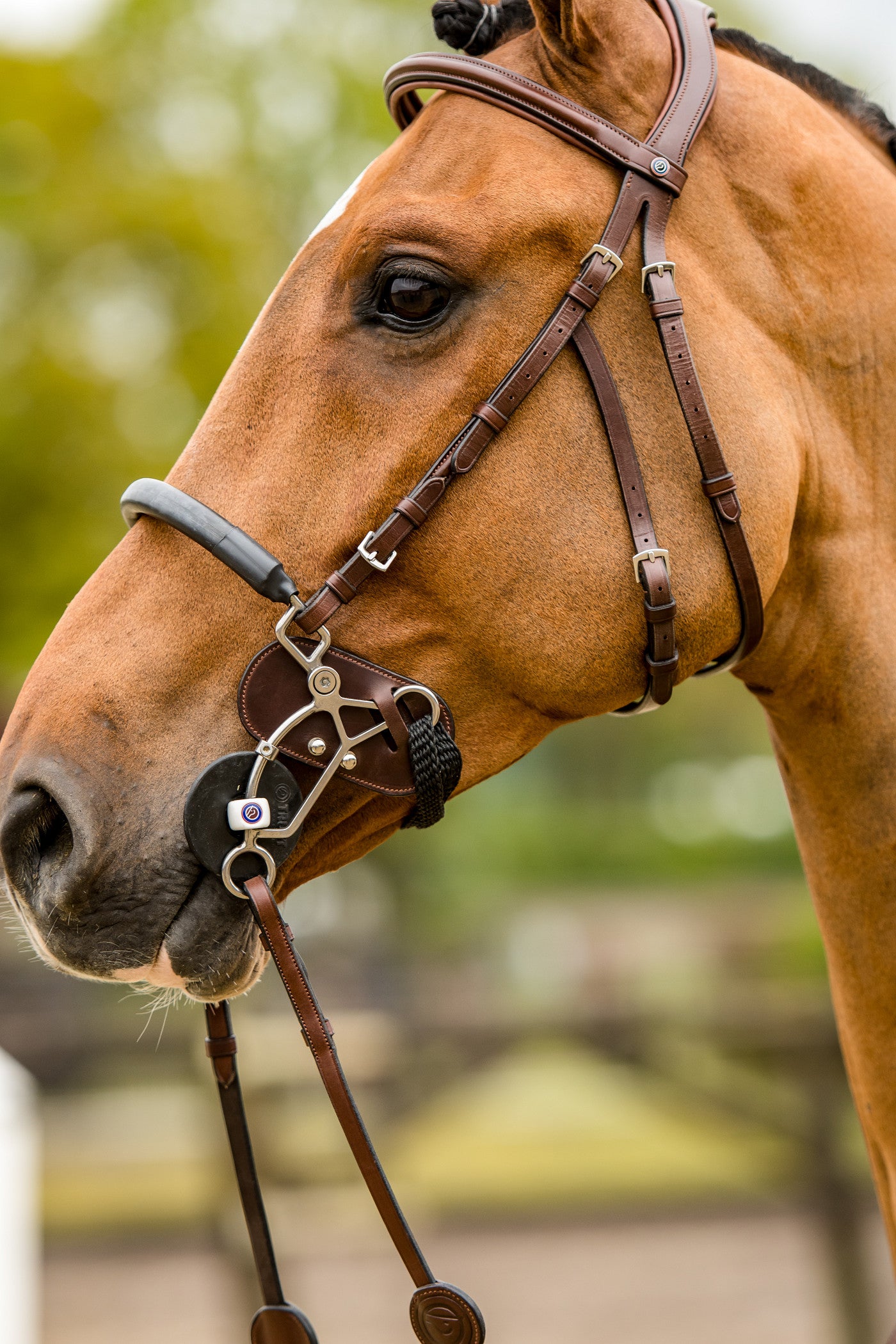 TRUST Hackamore protectorfor hackamore Kombi