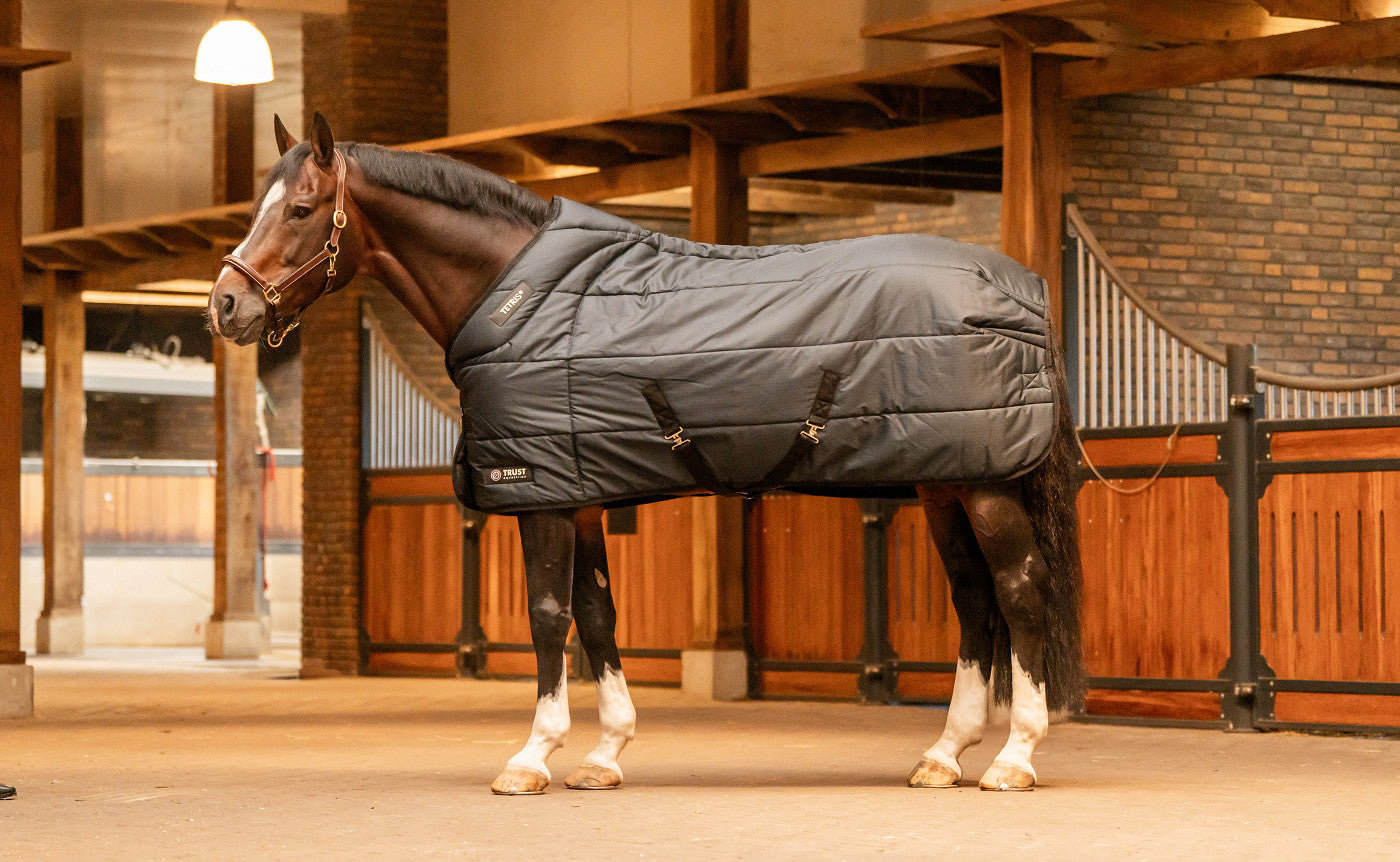 TRUST TETRIS stable rug 200g