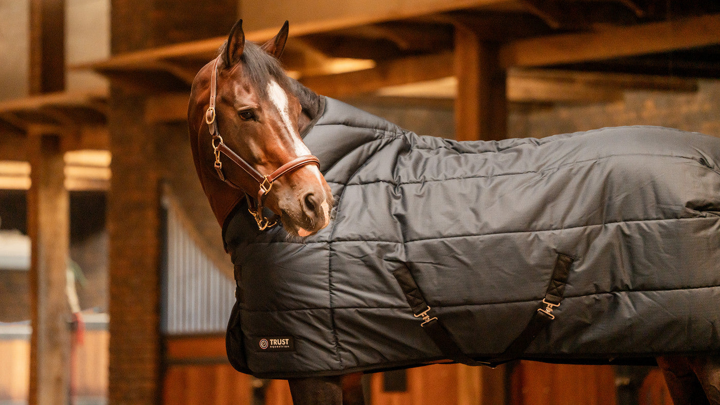 TRUST TETRIS stable rug 200g