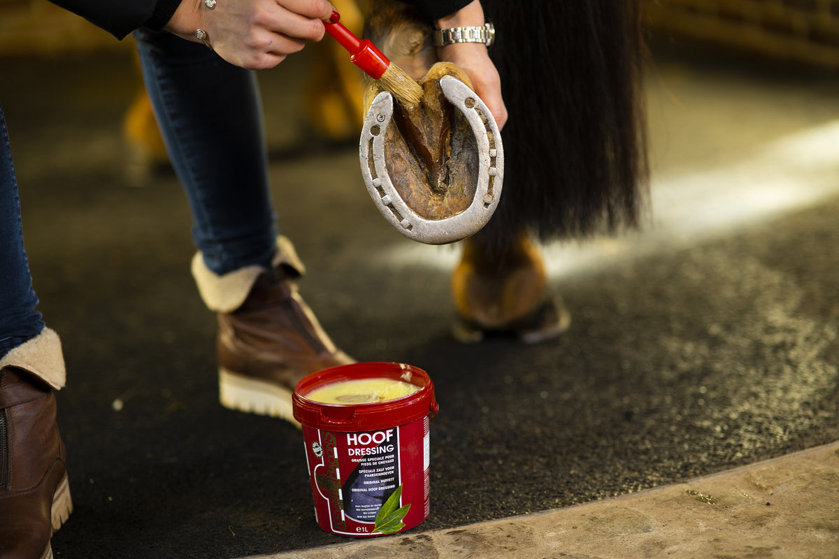 Kevin Bacons Hoofdressing Winter 5L 1pcs