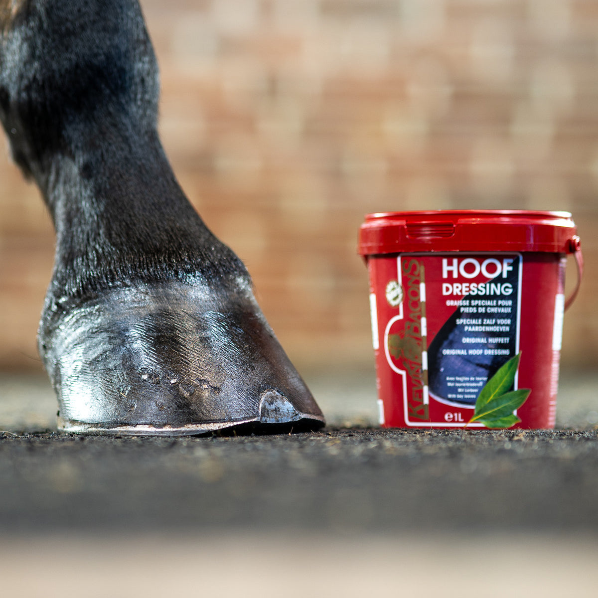 Kevin Bacons Hoofdressing Winter black 950ml 12pcs