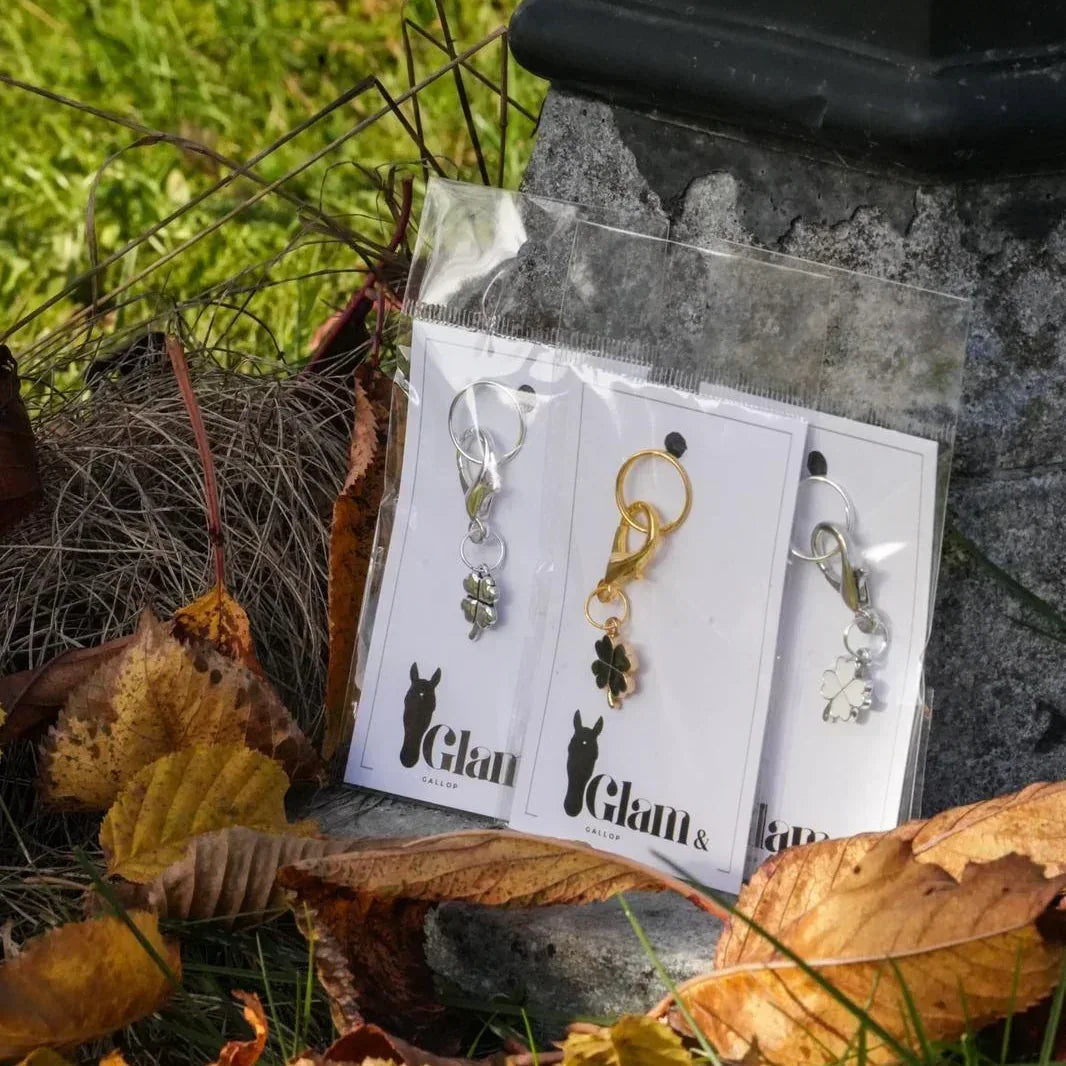 SILVER CLOVER Charm