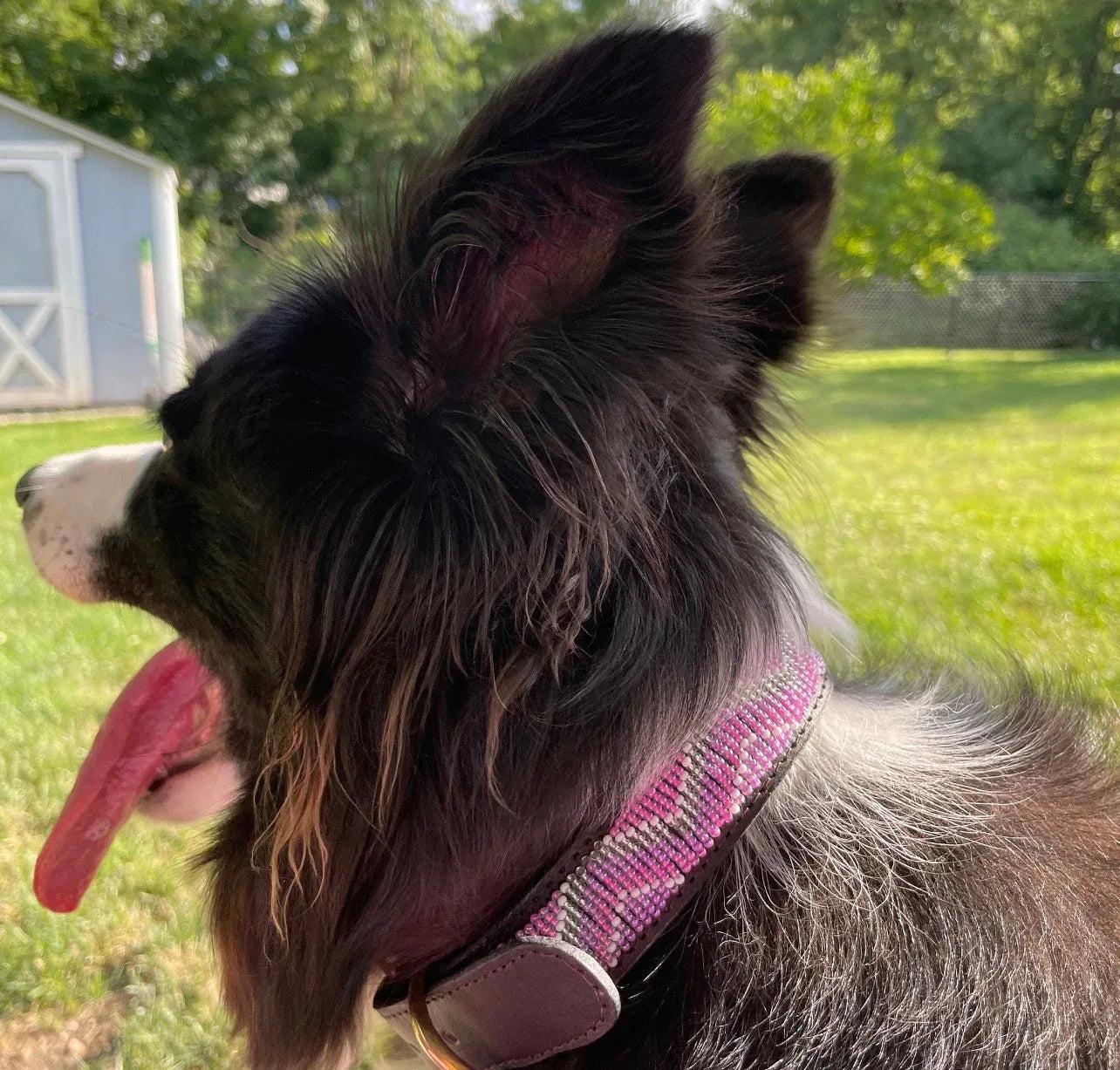 Hundehalsband Maasai Perlen alle Designs