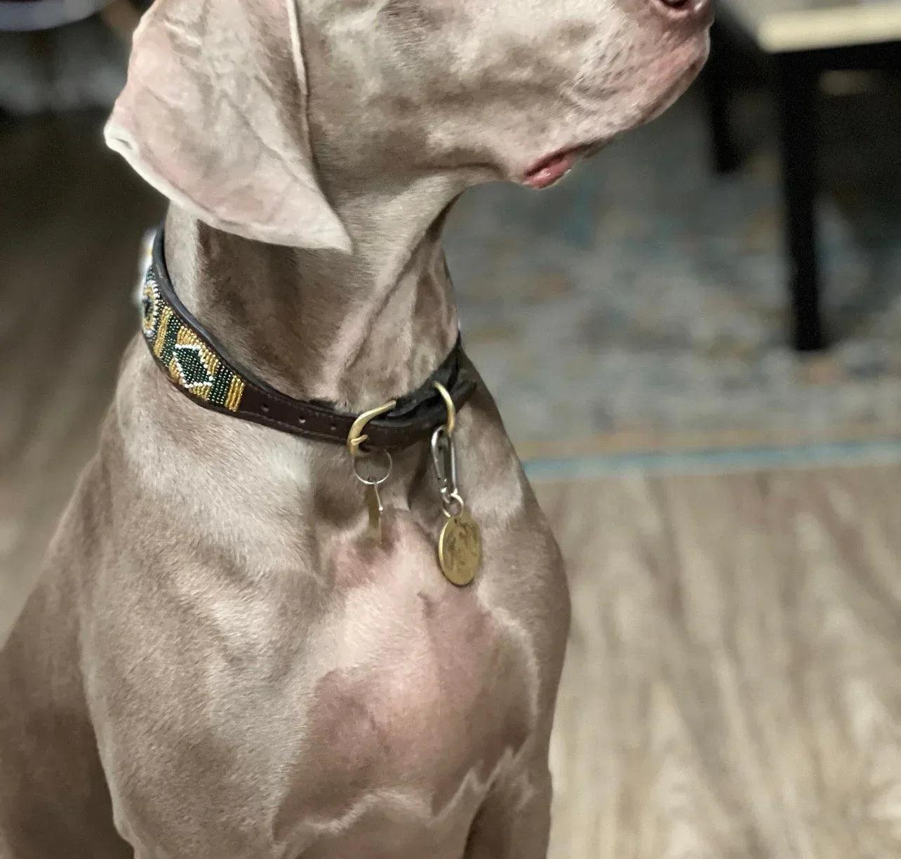 Hundehalsband Maasai Perlen alle Designs