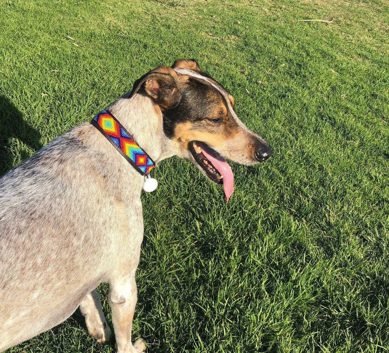 Hundehalsband Maasai Perlen alle Designs