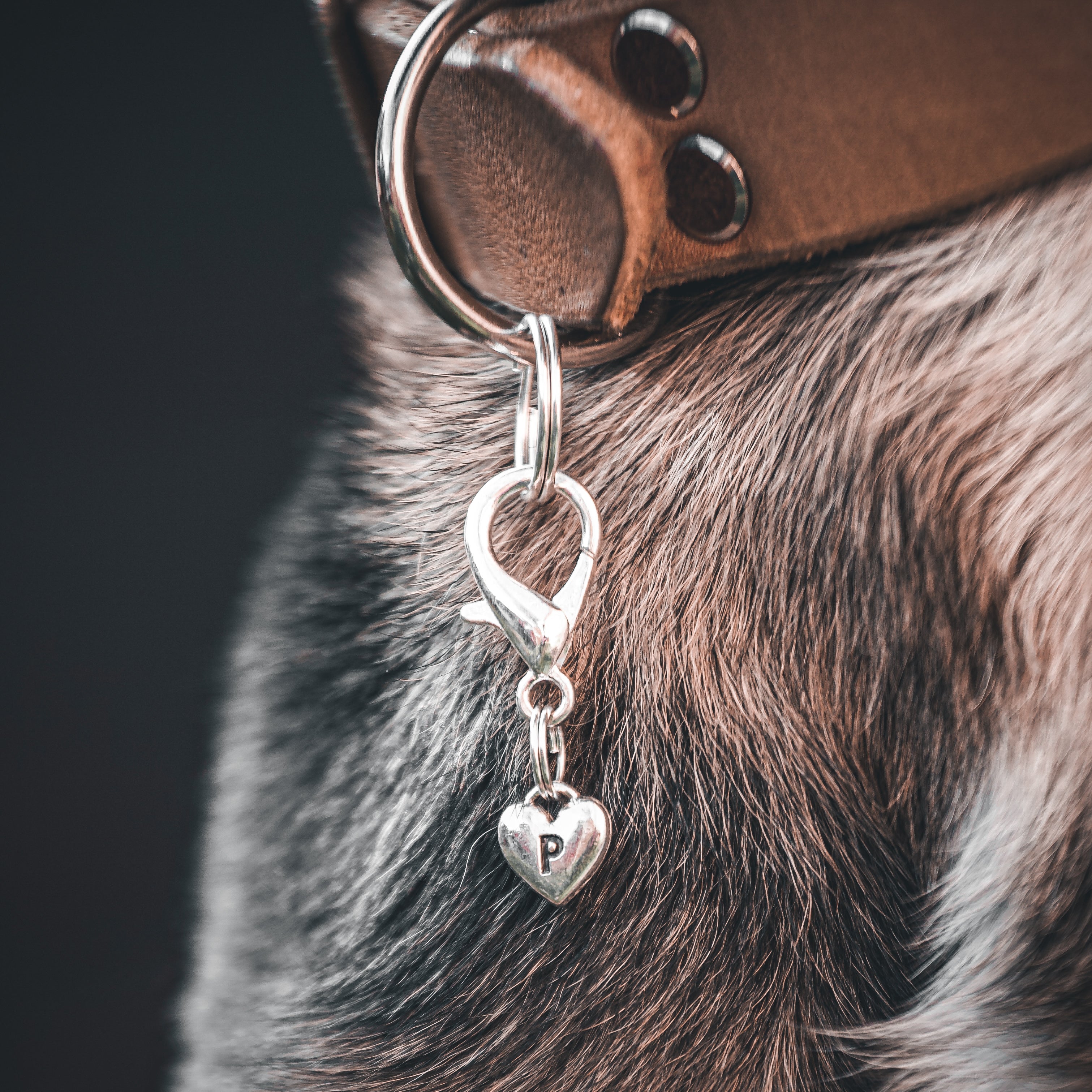 HEART BUCHSTABEN Charm
