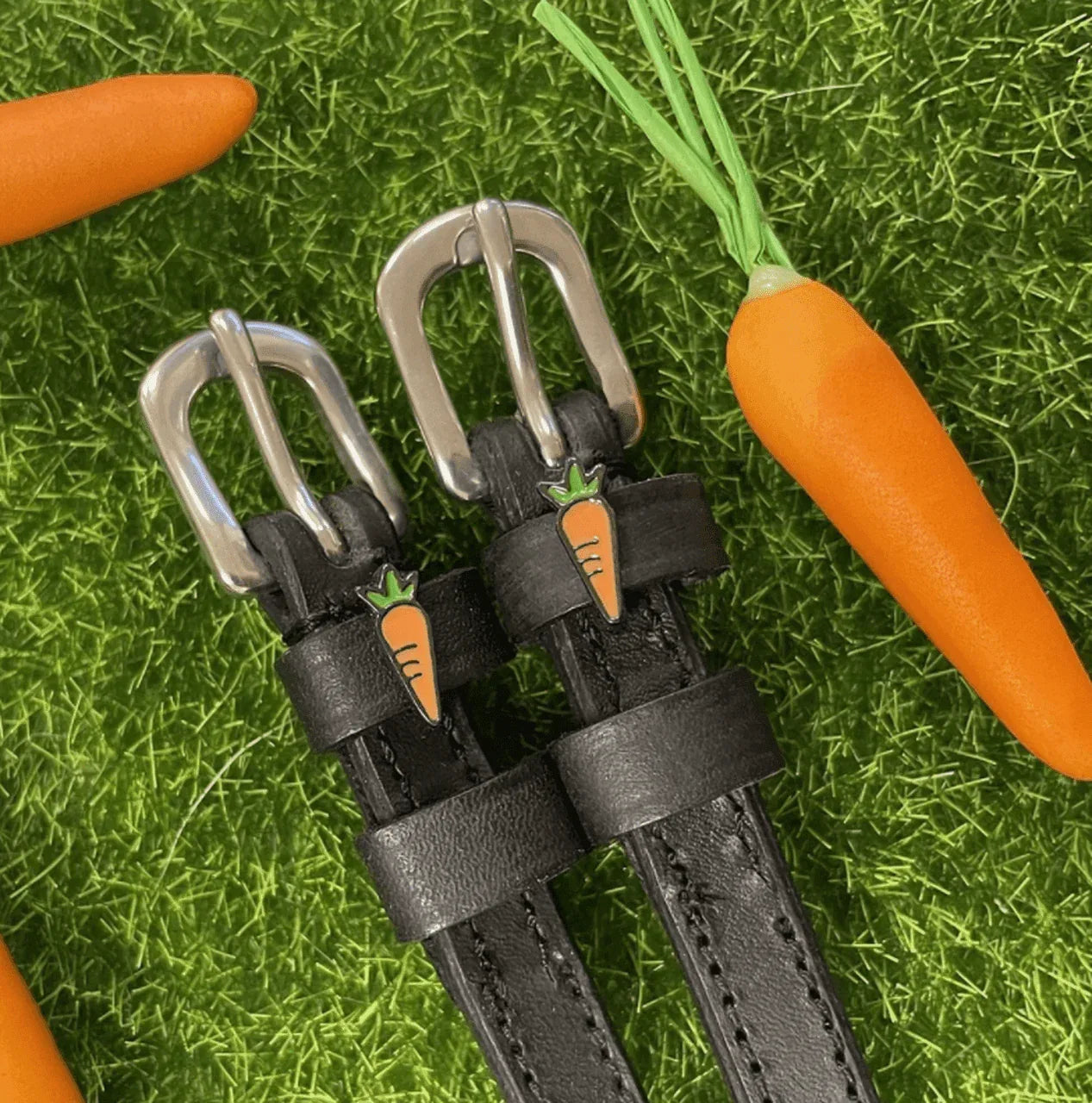 KAROTTE Sporenriemen