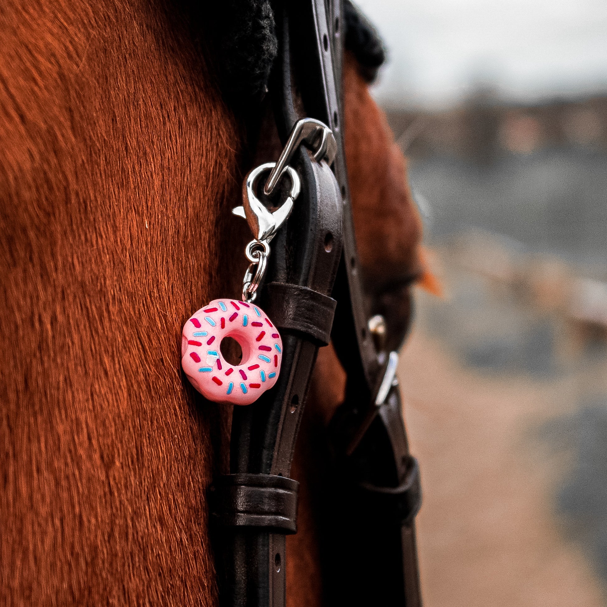 DONUT DREAMS Charm