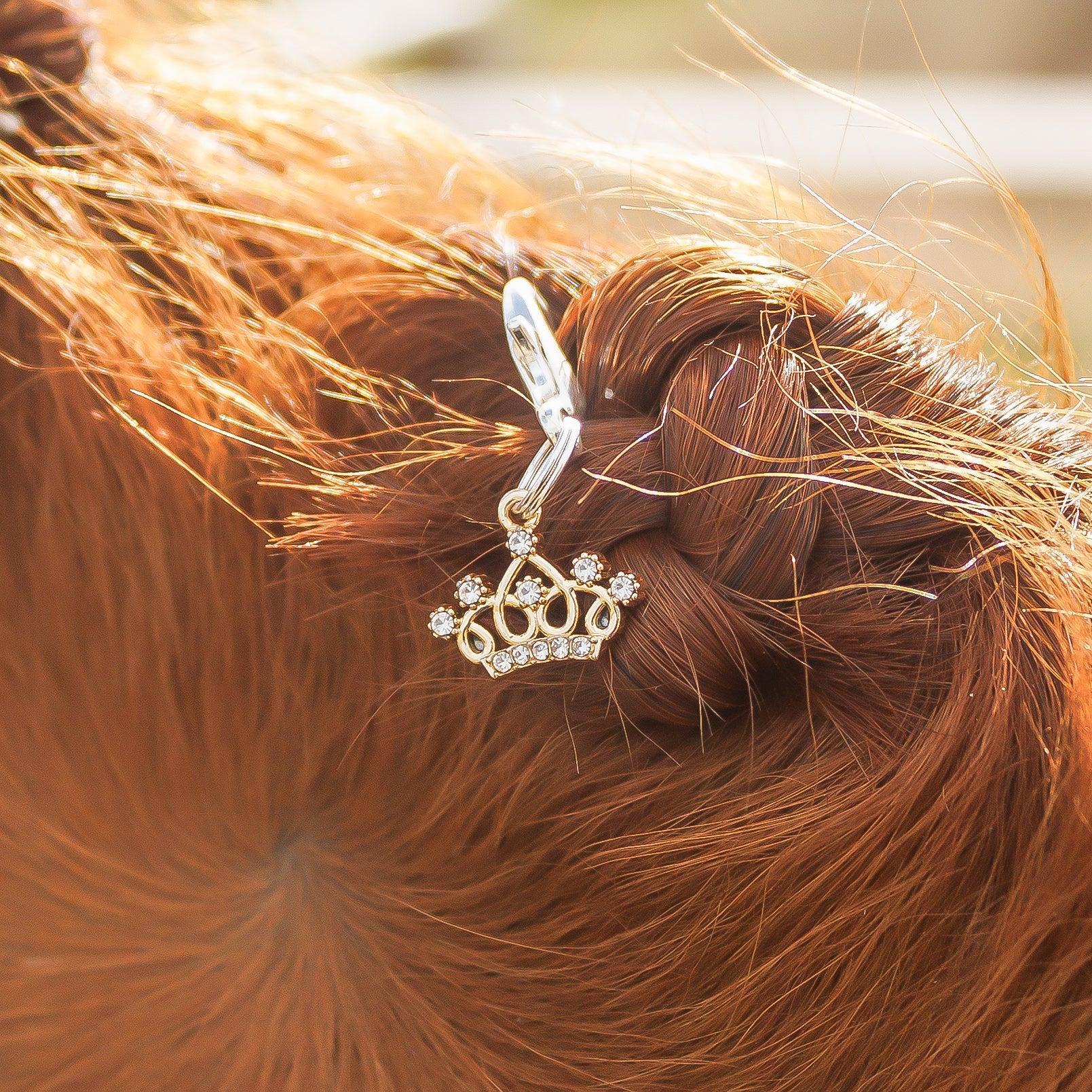 DIAMOND QUEEN Charm