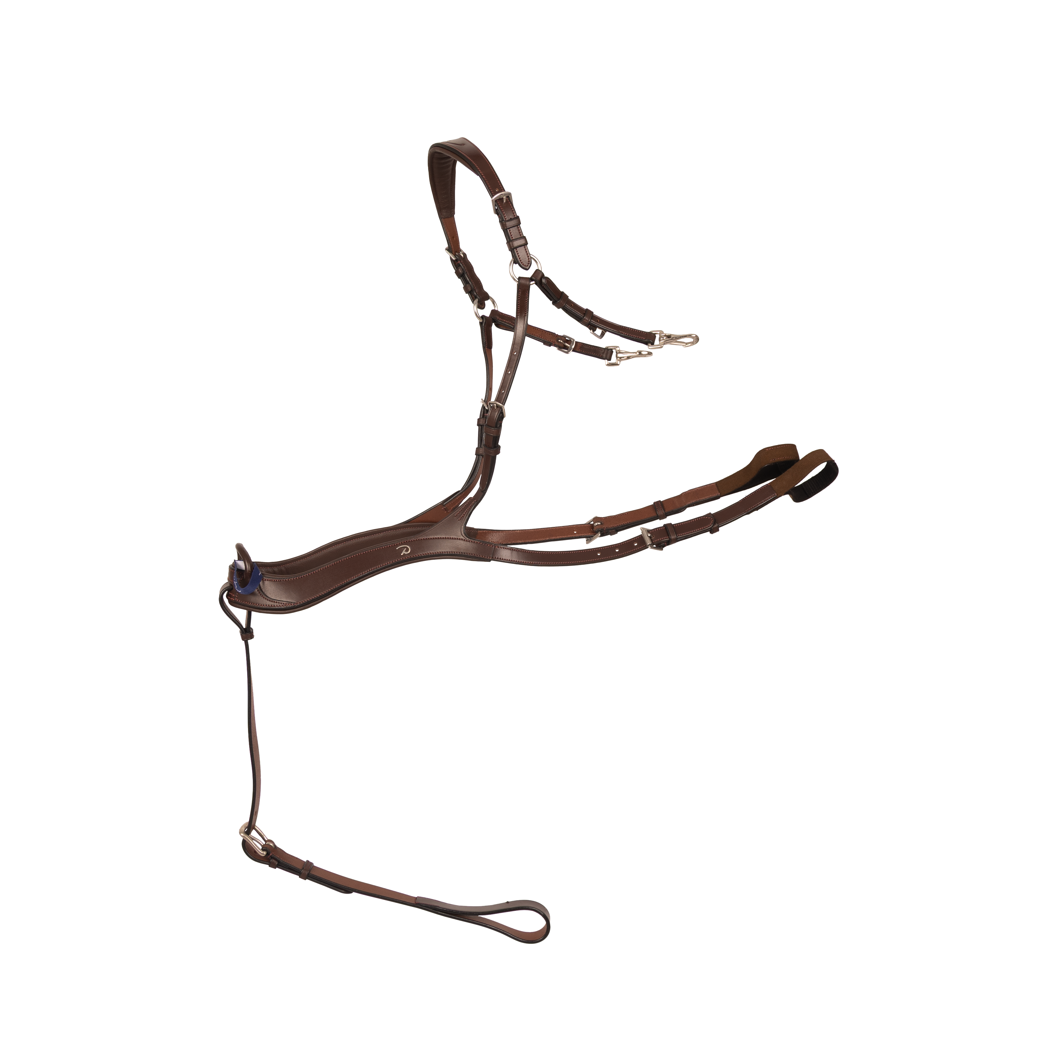 Anatomisches Vorderzeug