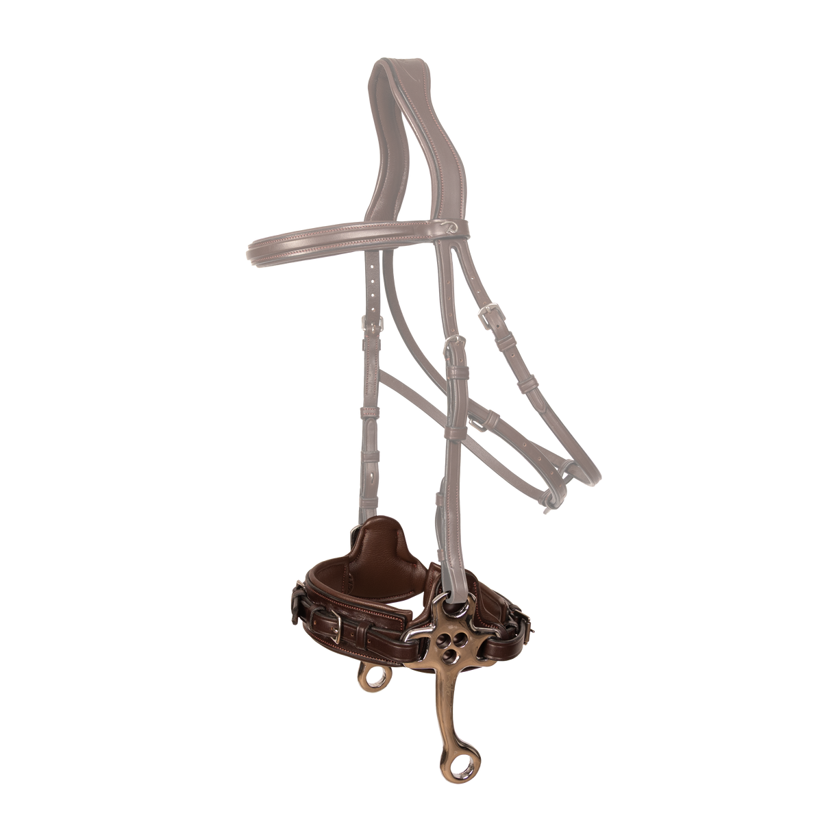 Hackamore