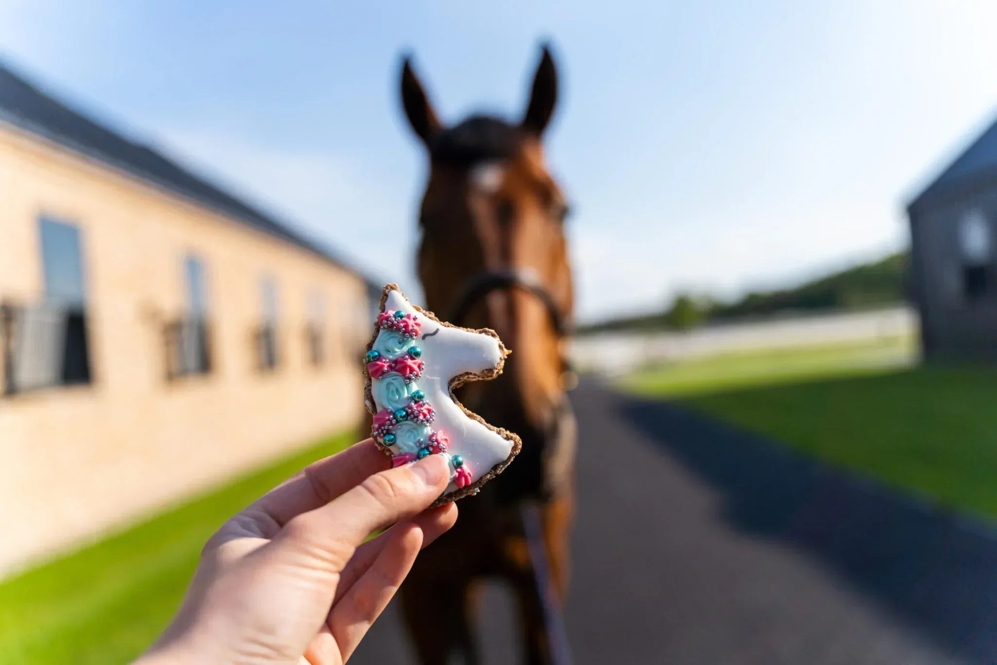 Unicorn Lebkuchen Leckerlie - Pony Bueno