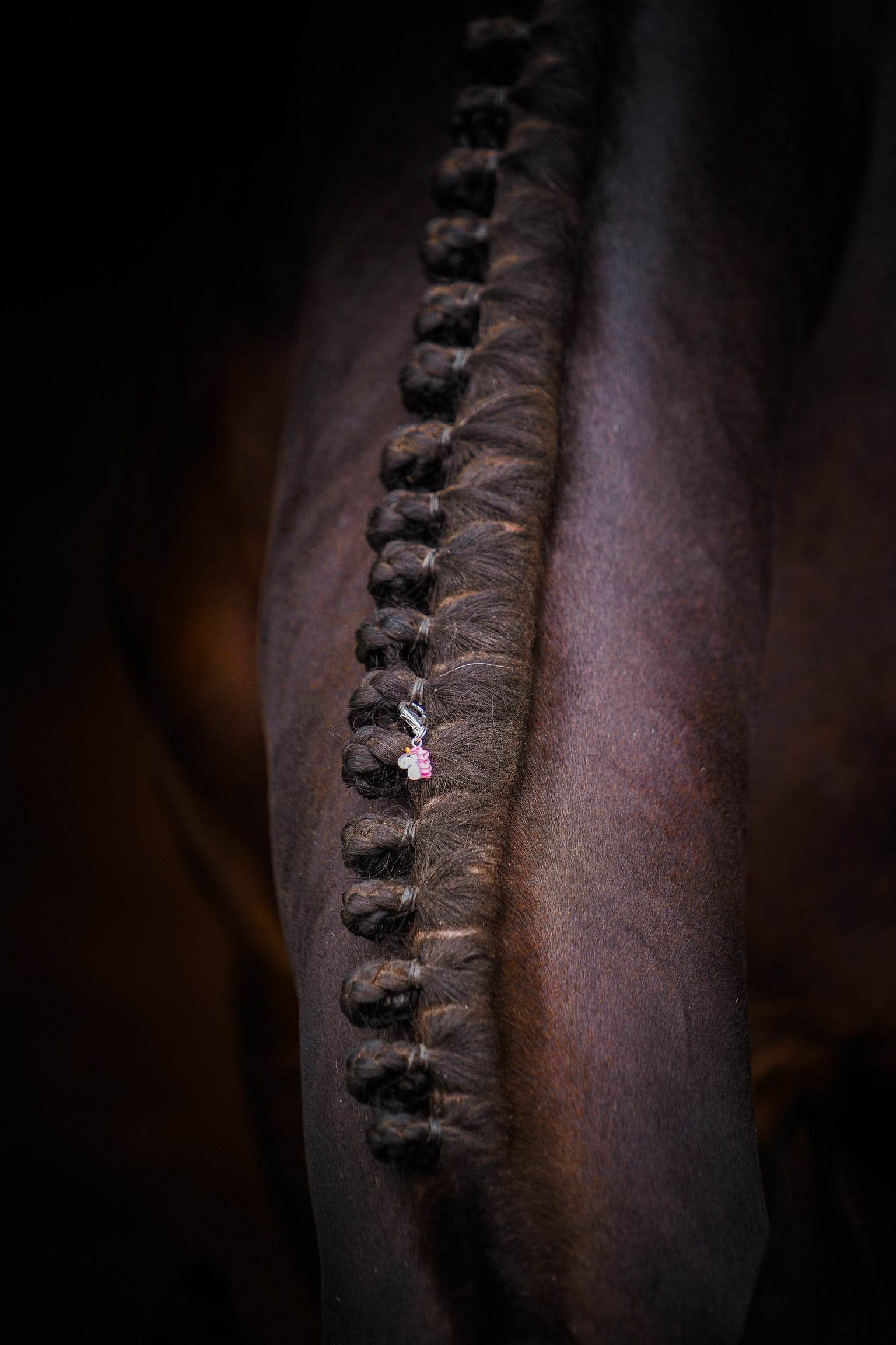 UNICORN Charm