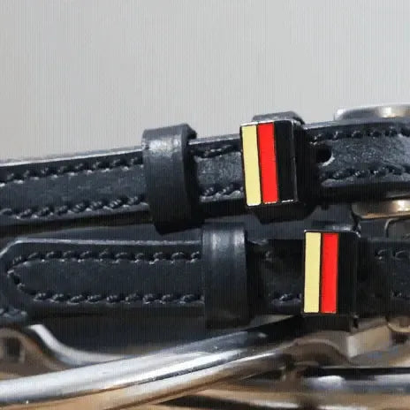 DEUTSCHLAND Sporenriemen