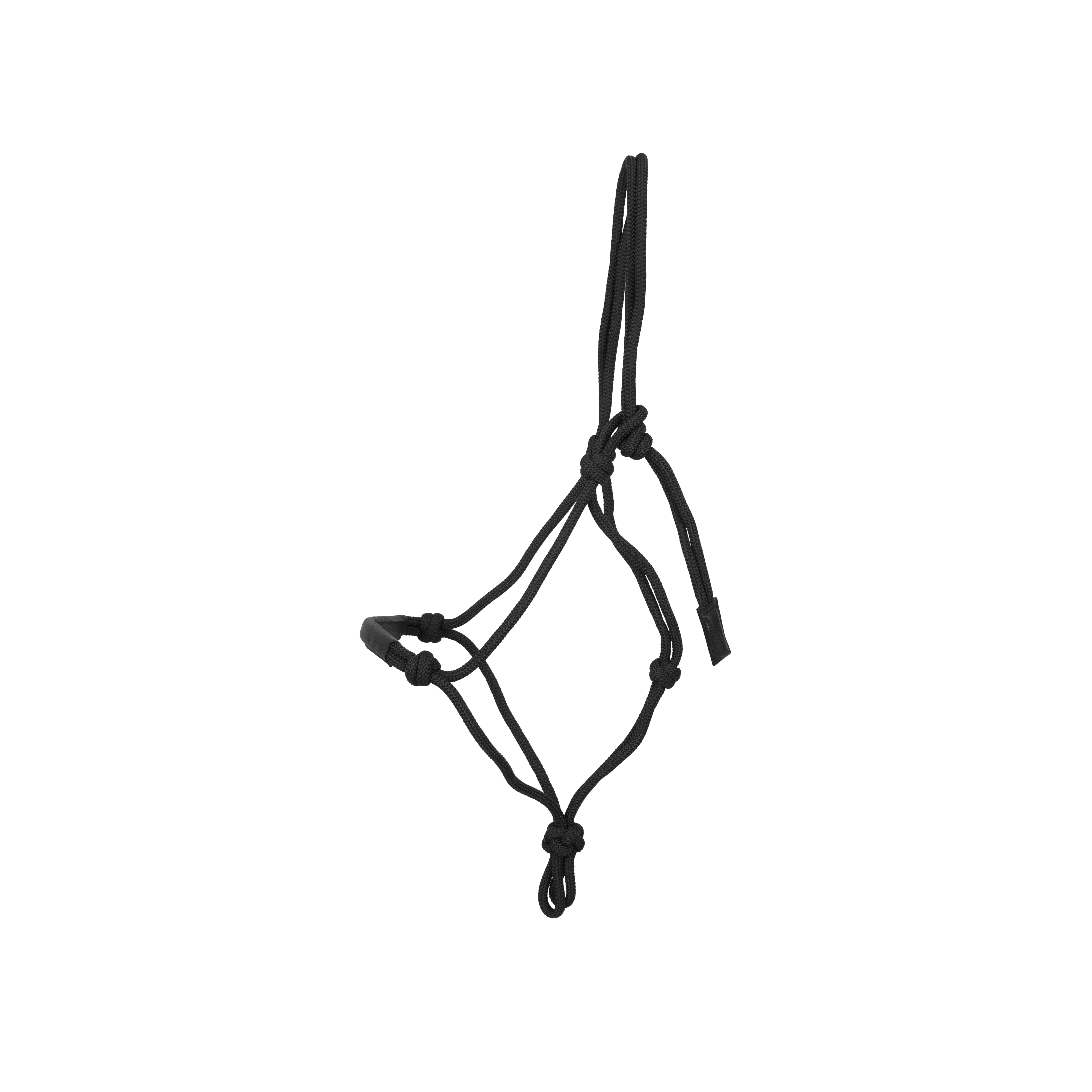 Knotenhalfter