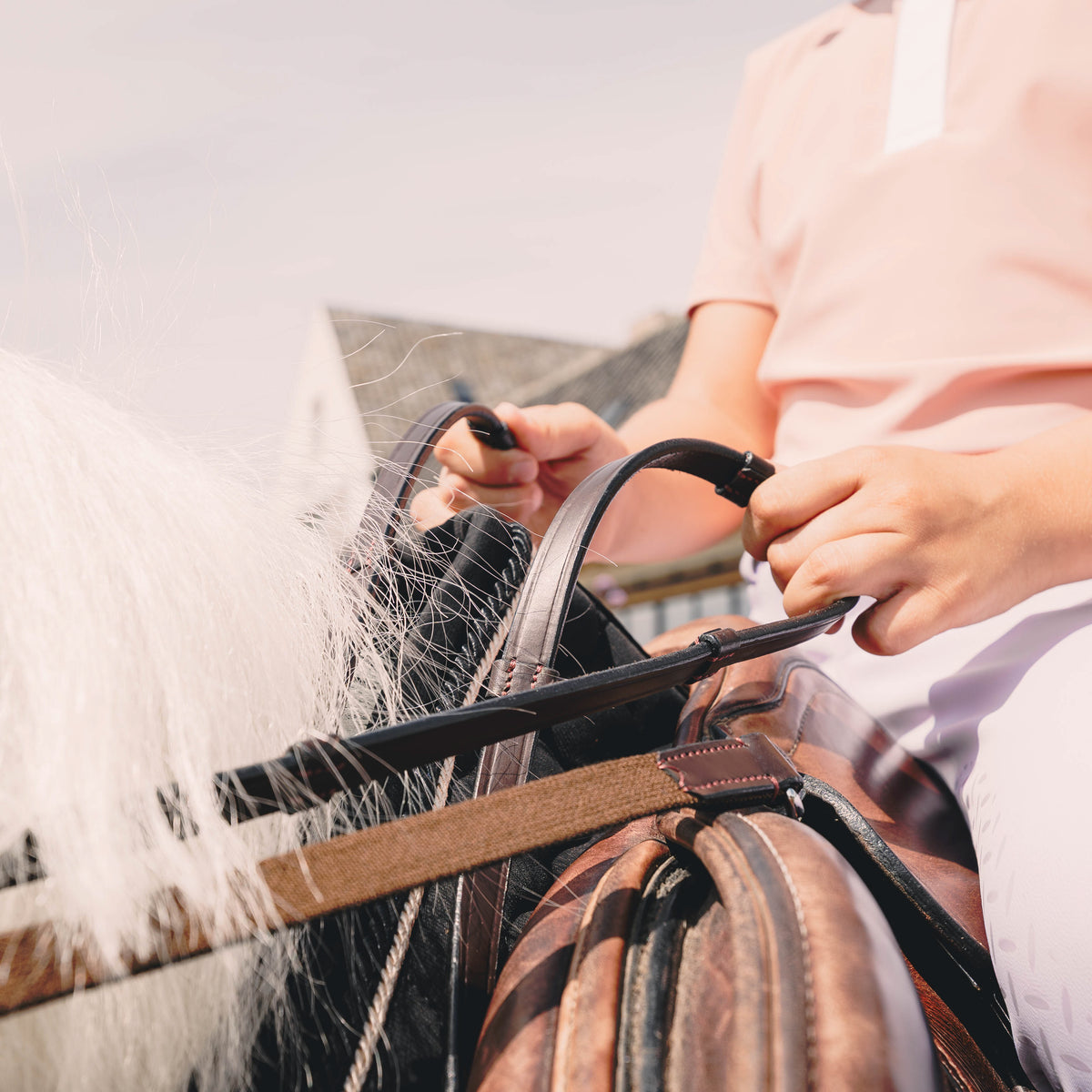 Zügelhilfe Mit Lederschlaufen Shetlandpony