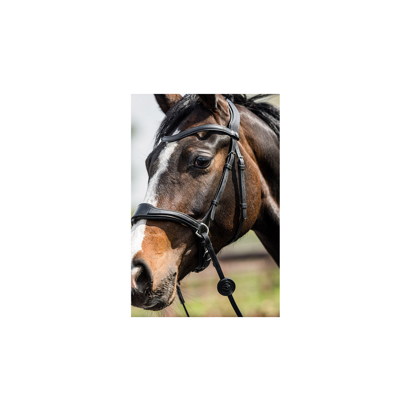 T-Motion Trense Falsterbo