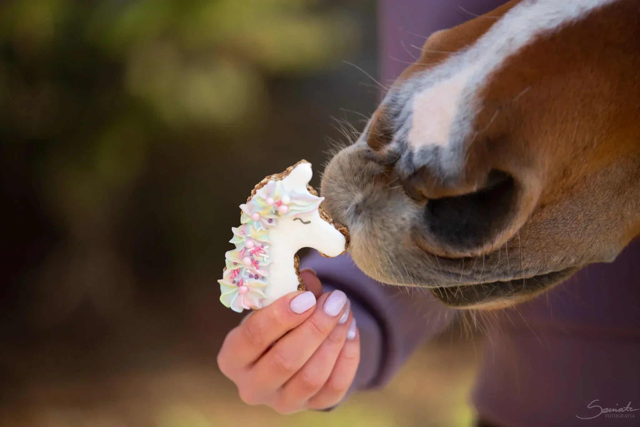 Unicorn Lebkuchen Leckerlie - Pony Bueno