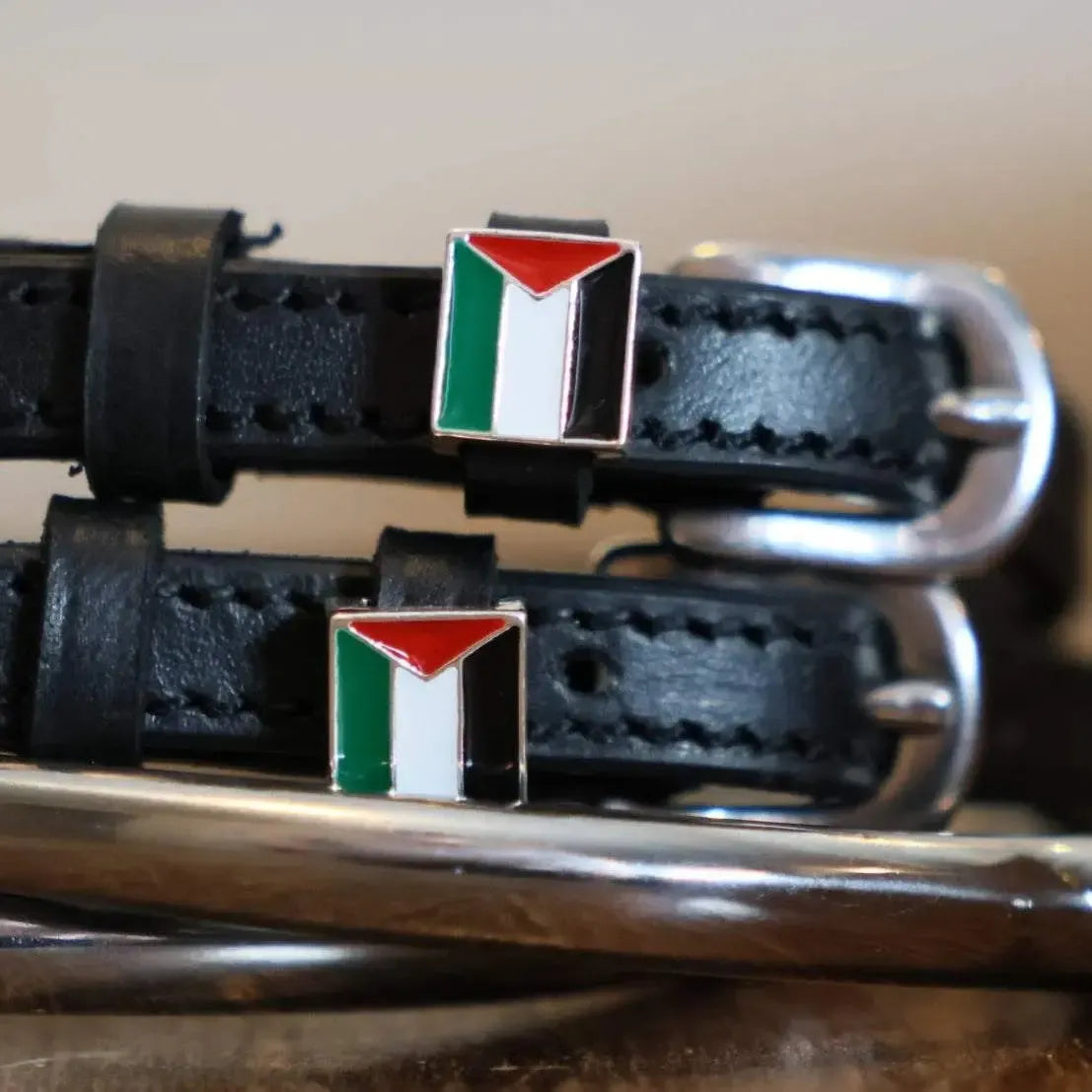 PALESTINE Sporenriemen
