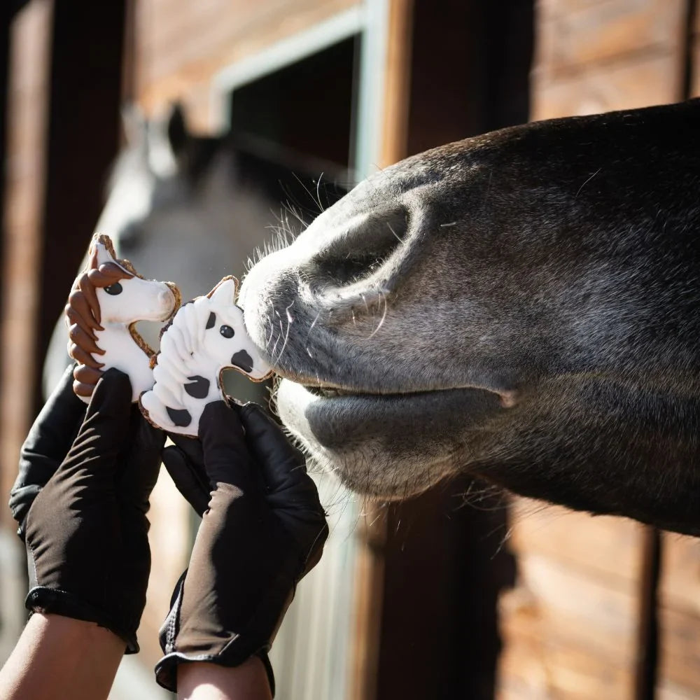 Horse Portrait Cookie - Pony Bueno