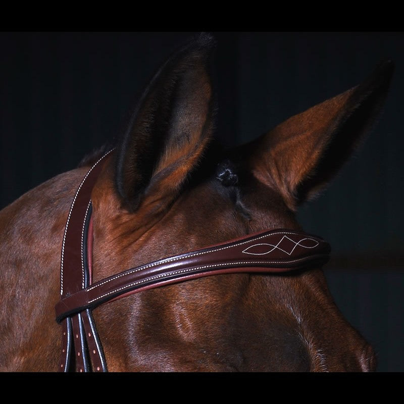 Anatomische Trense mit kombiniertem Reithalfter DYON Collection