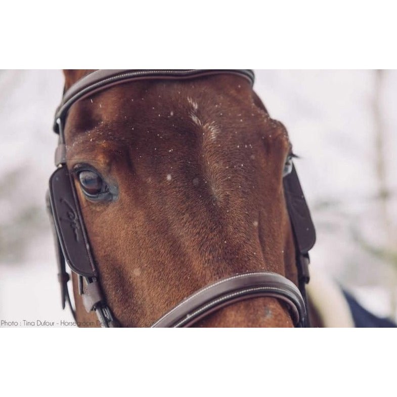 Backenstücke Focus Blinkers