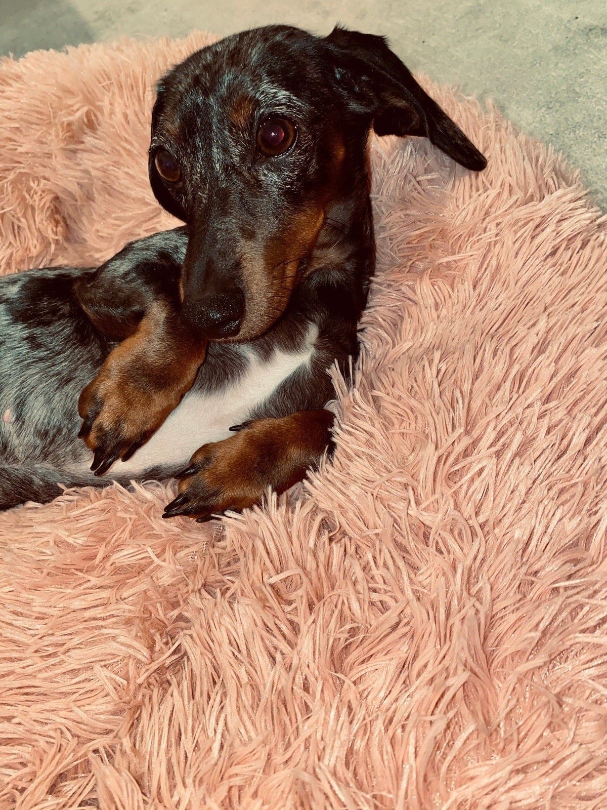 Hundebett Fluffy