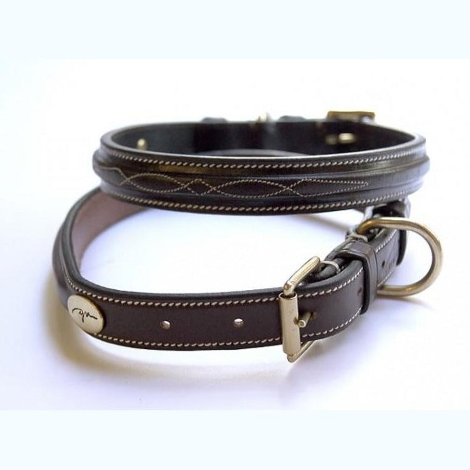 Hundehalsband Fancy