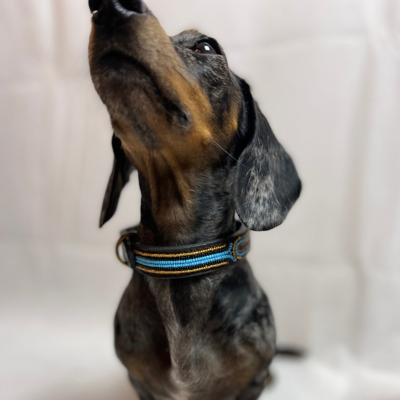 Hundehalsband GRÖßE XS Perlen Maasai Kollektion