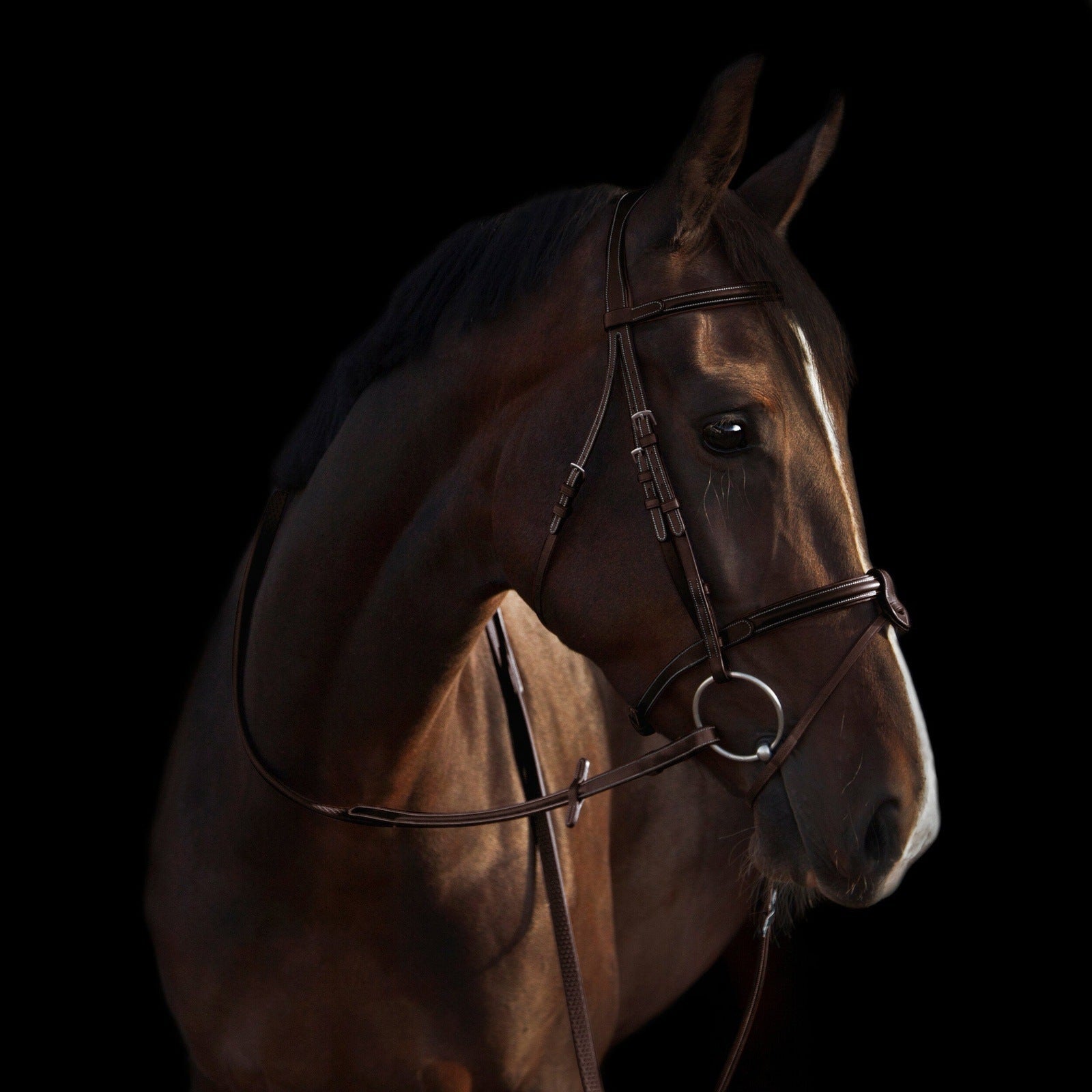 Trense Deauville